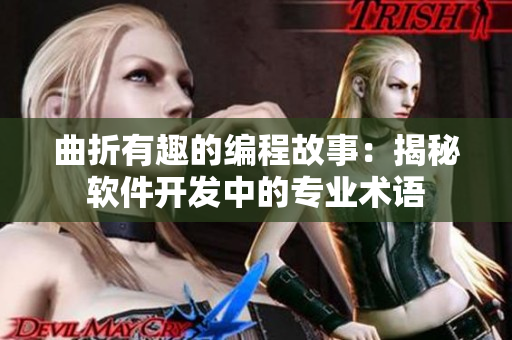 曲折有趣的编程故事：揭秘软件开发中的专业术语