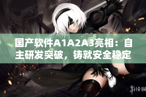 国产软件A1A2A3亮相：自主研发突破，铸就安全稳定新标杆