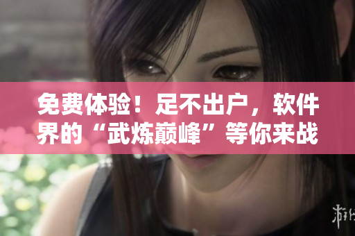 免费体验！足不出户，软件界的“武炼巅峰”等你来战！
