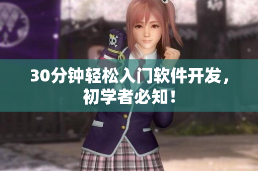 30分钟轻松入门软件开发，初学者必知！