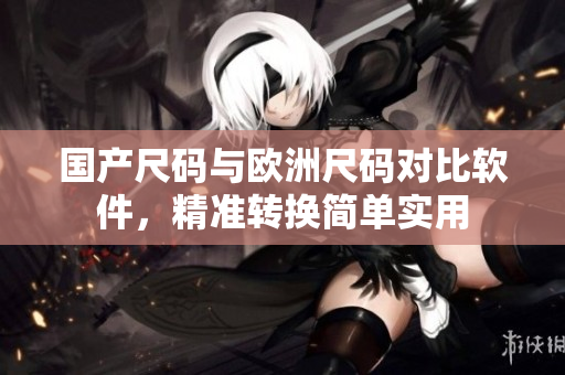 国产尺码与欧洲尺码对比软件，精准转换简单实用