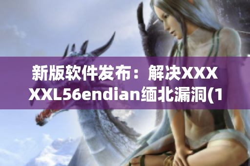 新版软件发布：解决XXXXXL56endian缅北漏洞(1)