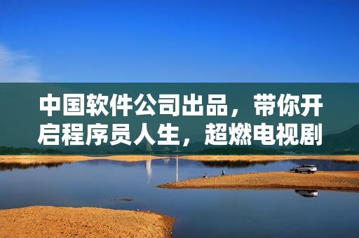 中国软件公司出品，带你开启程序员人生，超燃电视剧等你来看！