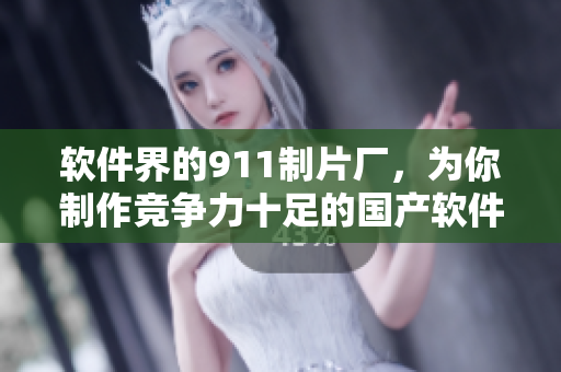 软件界的911制片厂，为你制作竞争力十足的国产软件