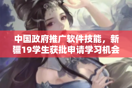 中国政府推广软件技能，新疆19学生获批申请学习机会