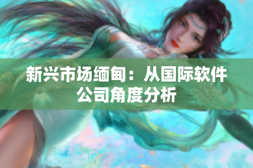新兴市场缅甸：从国际软件公司角度分析