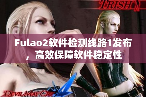 Fulao2软件检测线路1发布，高效保障软件稳定性