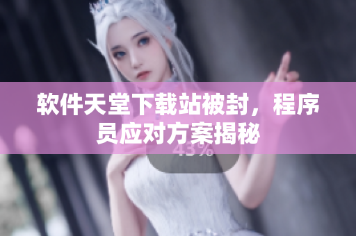 软件天堂下载站被封，程序员应对方案揭秘
