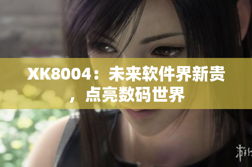 XK8004：未来软件界新贵，点亮数码世界