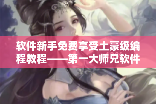 软件新手免费享受土豪级编程教程——第一大师兄软件教程