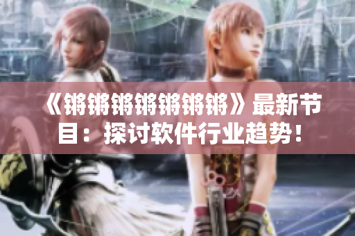 《锵锵锵锵锵锵锵》最新节目：探讨软件行业趋势！