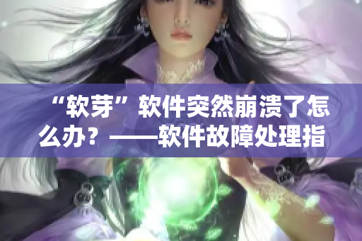 “软芽”软件突然崩溃了怎么办？——软件故障处理指南
