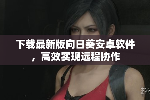 下载最新版向日葵安卓软件，高效实现远程协作