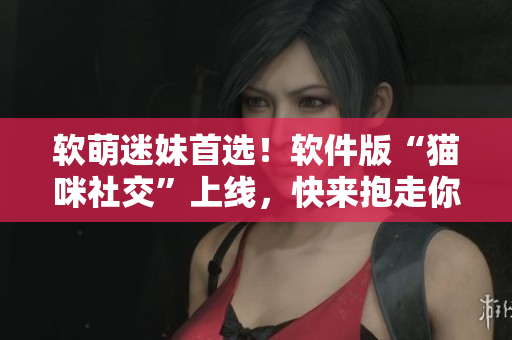 软萌迷妹首选！软件版“猫咪社交”上线，快来抱走你的萌宠！