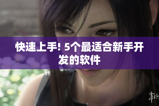 快速上手! 5个最适合新手开发的软件