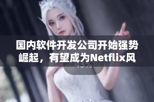 国内软件开发公司开始强势崛起，有望成为Netflix风范