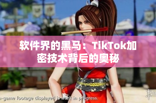 软件界的黑马：TikTok加密技术背后的奥秘