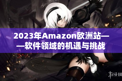 2023年Amazon欧洲站——软件领域的机遇与挑战