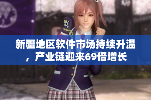 新疆地区软件市场持续升温，产业链迎来69倍增长