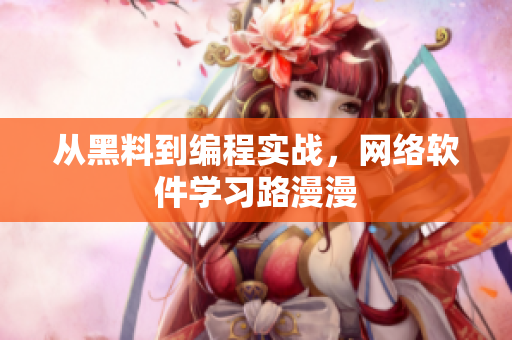 从黑料到编程实战，网络软件学习路漫漫