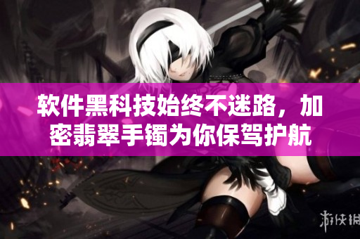 软件黑科技始终不迷路，加密翡翠手镯为你保驾护航