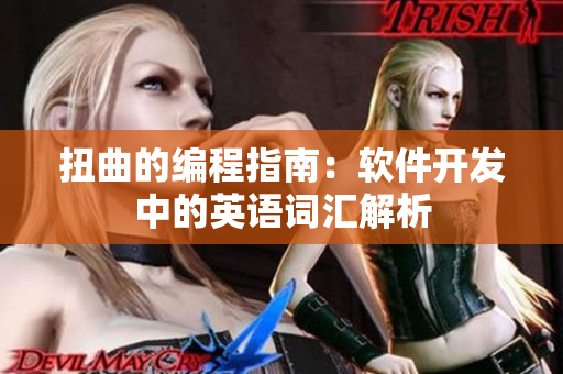 扭曲的编程指南：软件开发中的英语词汇解析