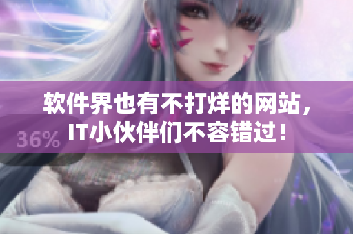 软件界也有不打烊的网站，IT小伙伴们不容错过！