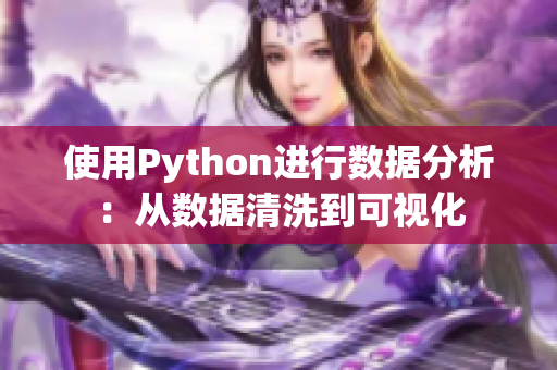 使用Python进行数据分析：从数据清洗到可视化