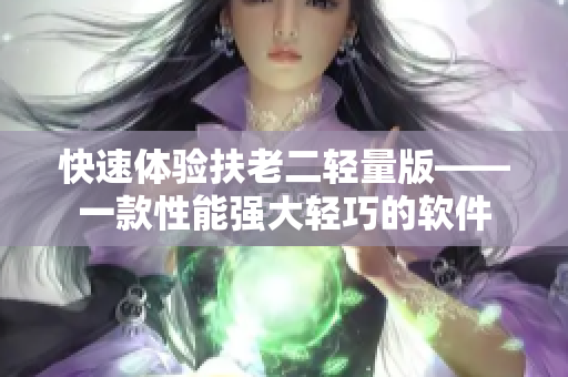 快速体验扶老二轻量版——一款性能强大轻巧的软件