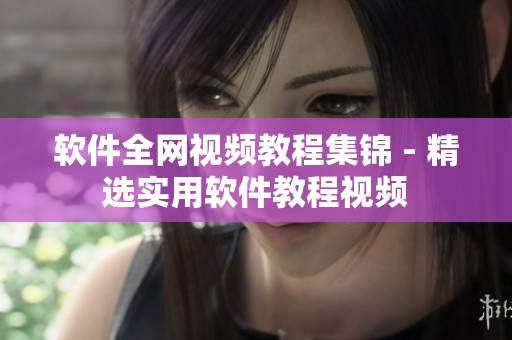 软件全网视频教程集锦 - 精选实用软件教程视频