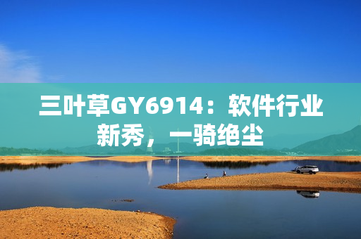 三叶草GY6914：软件行业新秀，一骑绝尘