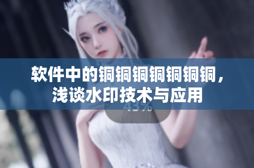 软件中的铜铜铜铜铜铜铜，浅谈水印技术与应用