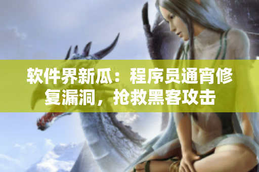 软件界新瓜：程序员通宵修复漏洞，抢救黑客攻击
