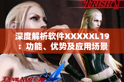 深度解析软件XXXXXL19：功能、优势及应用场景
