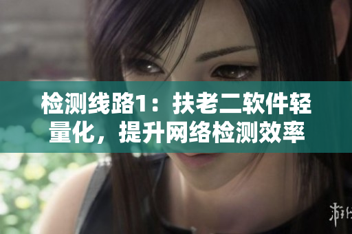 检测线路1：扶老二软件轻量化，提升网络检测效率