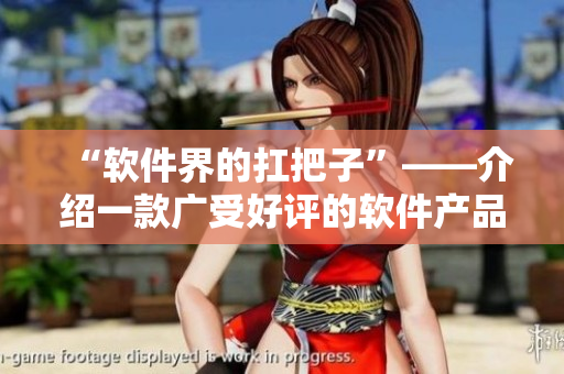 “软件界的扛把子”——介绍一款广受好评的软件产品
