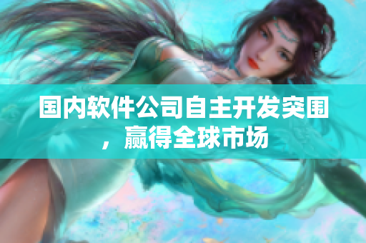 国内软件公司自主开发突围，赢得全球市场