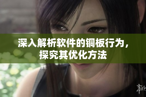 深入解析软件的铜板行为，探究其优化方法