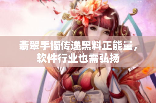 翡翠手镯传递黑料正能量，软件行业也需弘扬