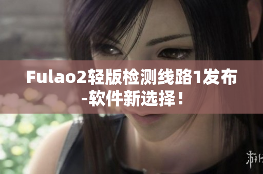 Fulao2轻版检测线路1发布-软件新选择！