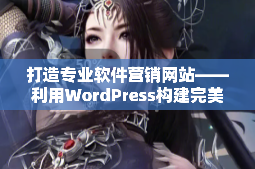 打造专业软件营销网站——利用WordPress构建完美平台