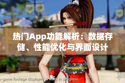 热门App功能解析：数据存储、性能优化与界面设计