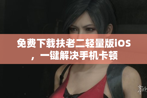 免费下载扶老二轻量版iOS，一键解决手机卡顿