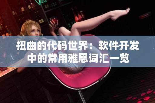 扭曲的代码世界：软件开发中的常用雅思词汇一览