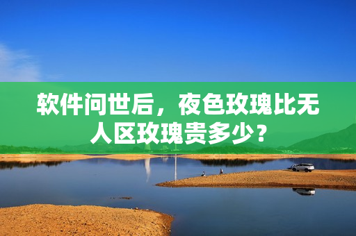 软件问世后，夜色玫瑰比无人区玫瑰贵多少？