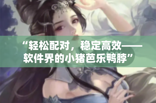 “轻松配对，稳定高效——软件界的小猪芭乐鸭脖”
