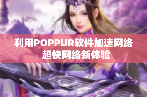 利用POPPUR软件加速网络  超快网络新体验