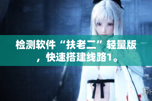 检测软件“扶老二”轻量版，快速搭建线路1。