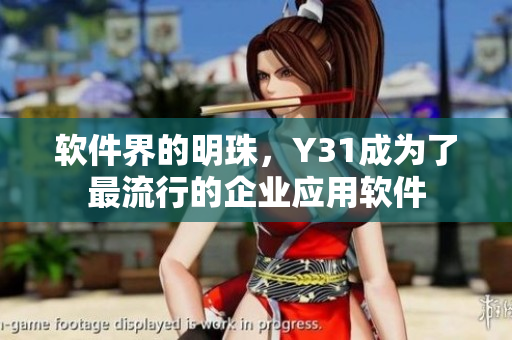 软件界的明珠，Y31成为了最流行的企业应用软件