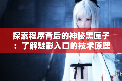 探索程序背后的神秘黑匣子：了解魅影入口的技术原理